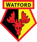 Visit The Millennium Watford FC English Premier League Webpage On This Site